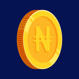 Naira Coin Gold Nigerian Money