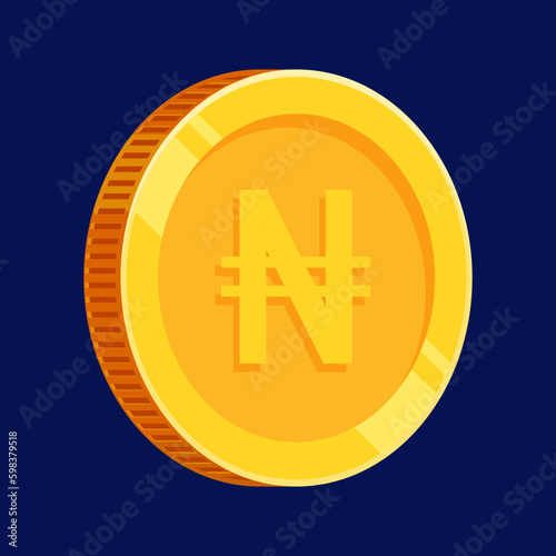 Naira Coin Gold Nigerian Money