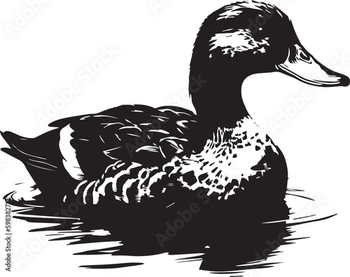 Duck, duck on the water, duck head, Vector Illustration, SVG
