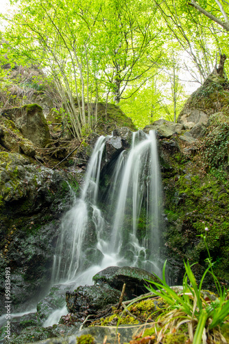 waterfall in the woods