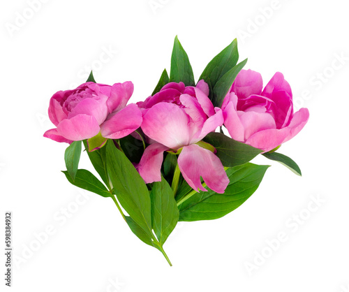 Peony flower set isolated on white background. Set flower. Postcard for congratulations or invitations.