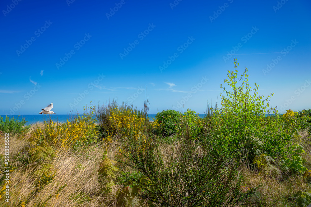 Obraz premium Ostseebad Kühlungsborn