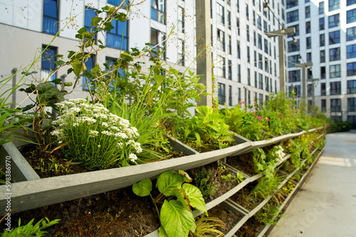 Green vertical green facade garden in full bloom for climate adaptation. Vertical Garden for sustainable cities. Living wall for stimulating biodiversity. Urban greening. 