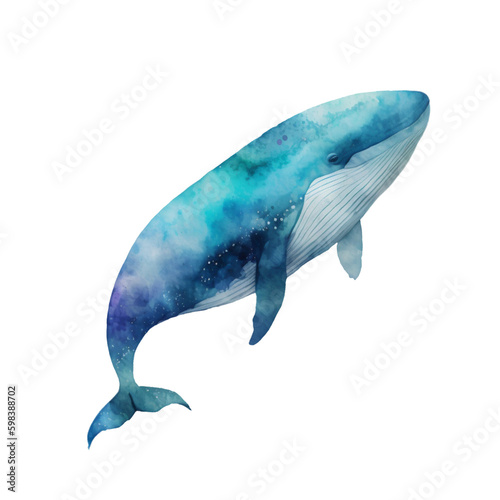 watercolor whale illustration