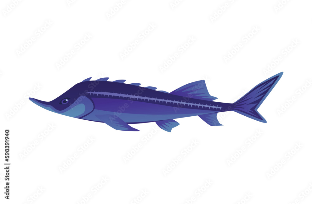 Sturgeon or sterlet fish for fishing and caviar label, flat vector isolated. Sturgeon or sterlet fish for fishing and caviar label, flat vector isolated.
