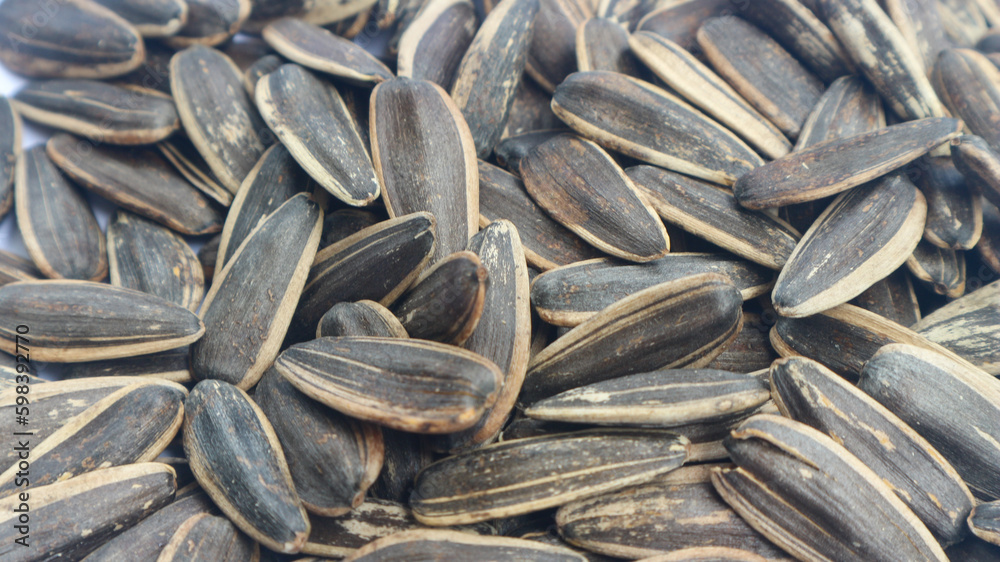 Sunflower seeds, also known as Kuaci in Indonesia. One of nutritious seeds. Close up view. The photo can be used for background. Sunflower seeds, also known as Kuaci in Indonesia. One of nutritious seeds. Close up view. The photo can be used for background.