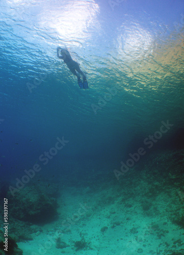 Diving in the crystal clear waters of the Caribbean Sea © gustavo