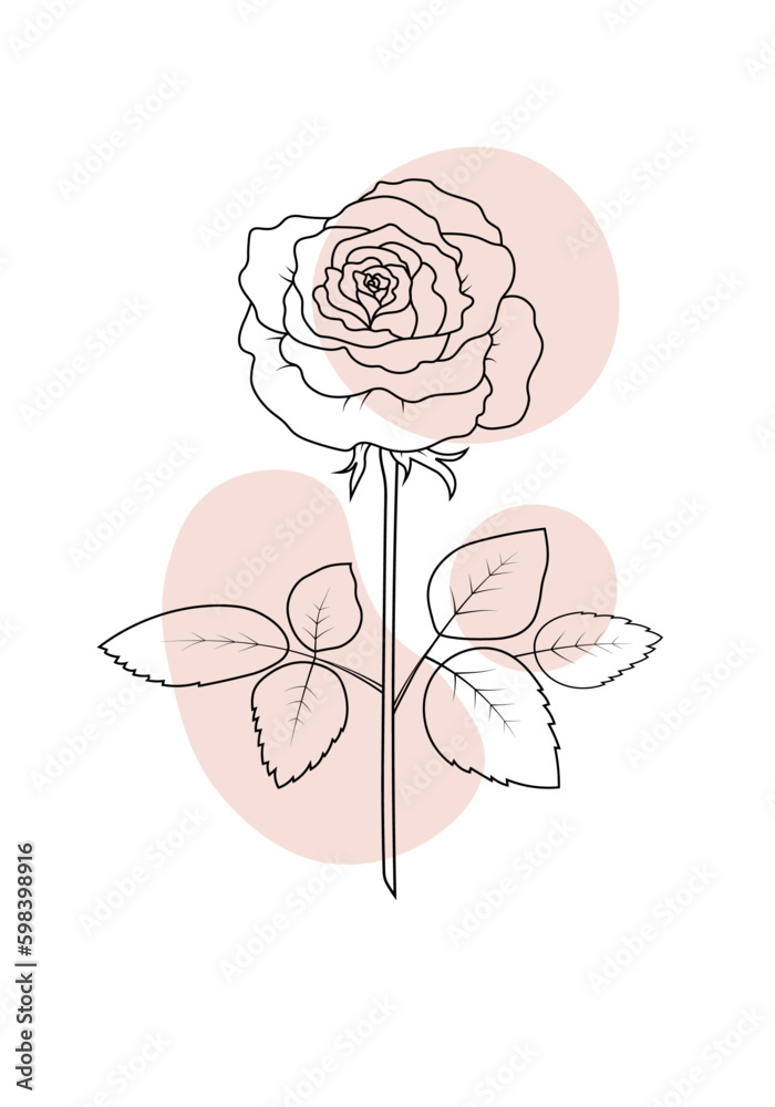 Vector sketch of a line art rose on a colored background. Design for greeting card, stickers and wall art.