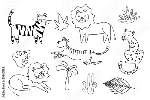 Set of big cat line doodle wild vector drawings. Predators african and safari animals hand drawings pack. illustrations EPS