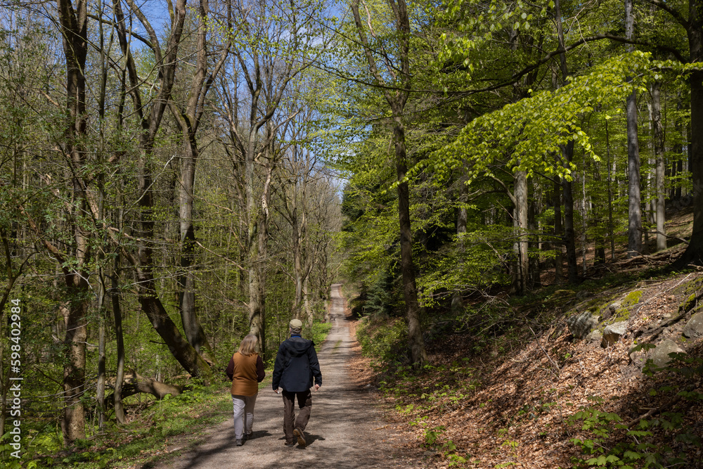 Paar beim Wald Spaziergang im Frühling.