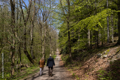 Paar beim Wald Spaziergang im Fr  hling.