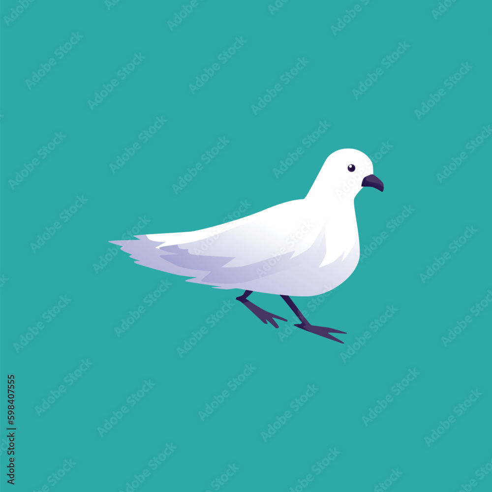 Snow petrel bird drawing, flat vector illustration isolated on green background.