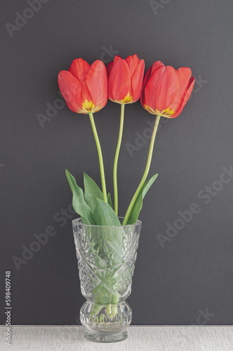 tulips in vase