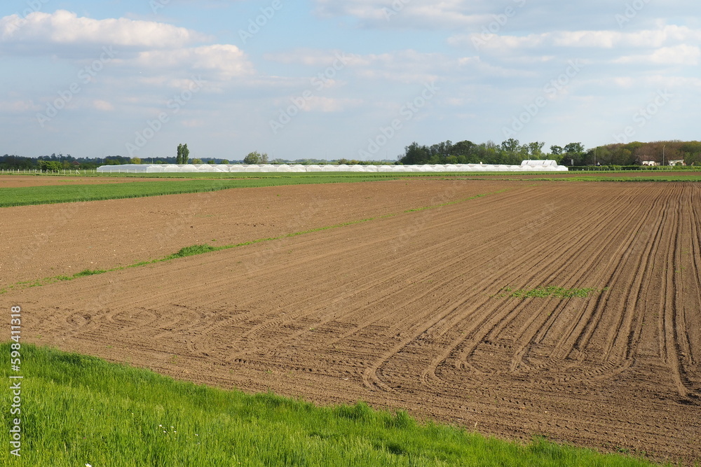 Plowed field, furrows left after the passage of the tractor. Agriculture, providing the population with food and obtaining raw materials for industry. Spring agricultural work. Greenhouses.