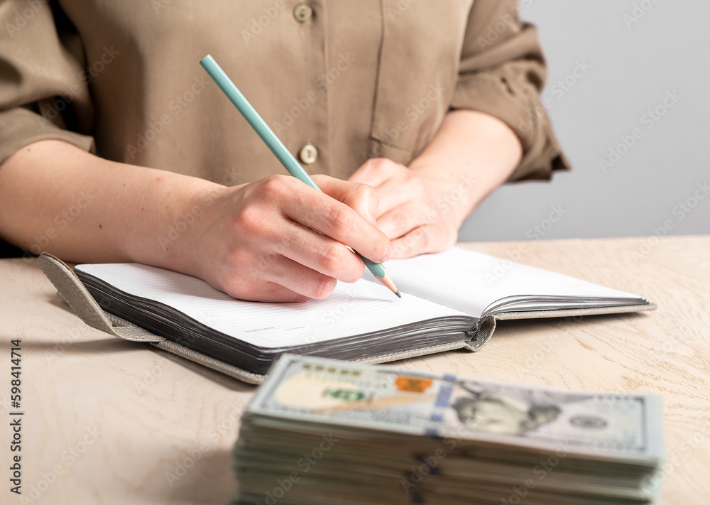Fototapeta premium Planning personal money, budget, managing finances, financial strategy concept