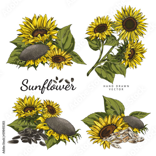 Set of hand drawn colorful sunflowers sketch style, vector illustration