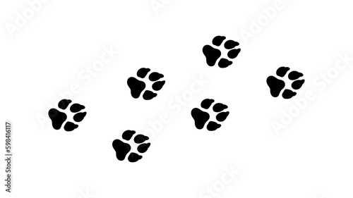 dog footprints on white background