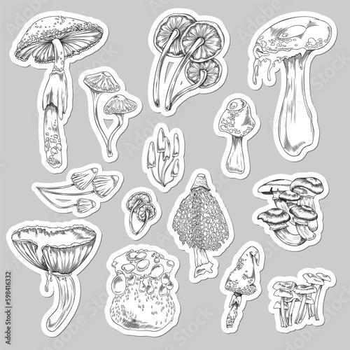 Psychedelic mushrooms set, sketch vector illustration isolated on gray background.