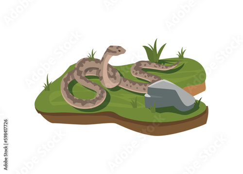 Boa dangerous snake crawls on green meadow, flat vector illustration isolated.