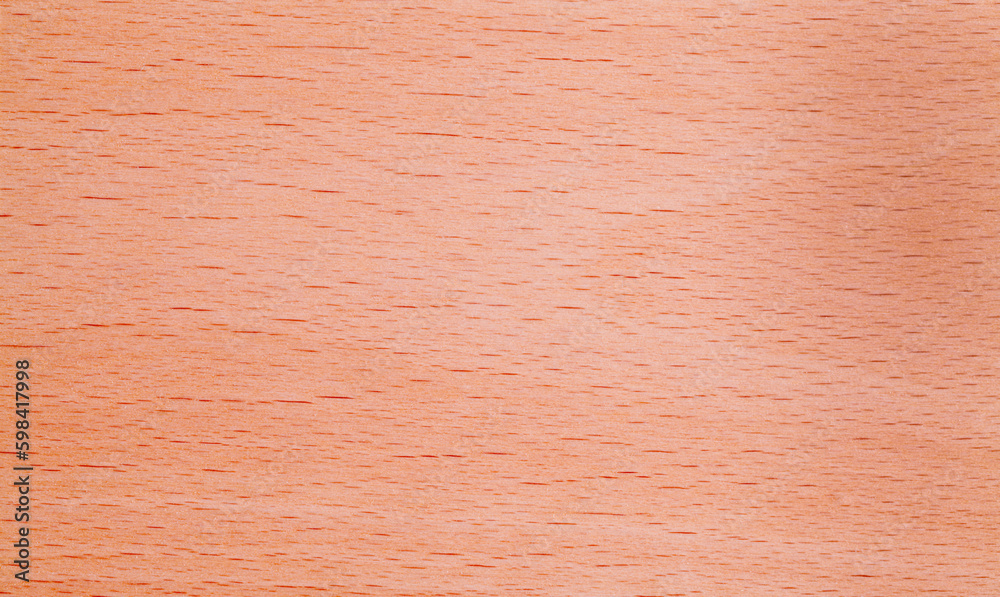 Fototapeta premium Wood Pattern Background.