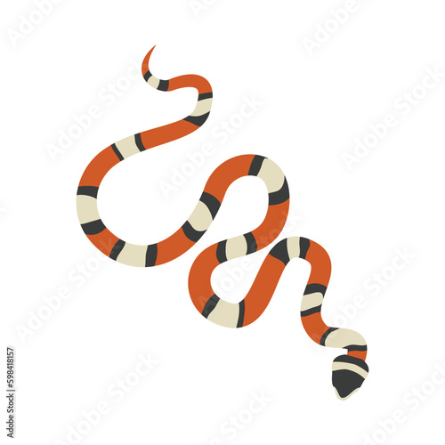 Coral snake with bright stripes flat vector illustration isolated on white.