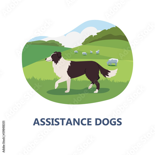 Assistance dogs banner or badge template, flat vector illustration isolated.