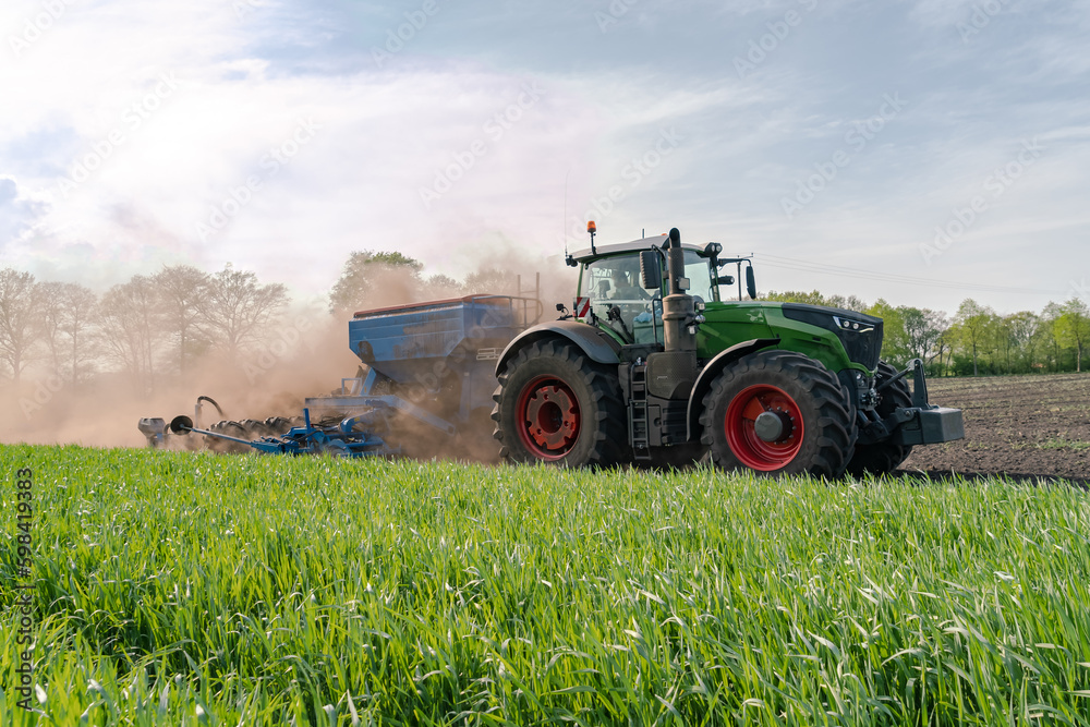 Maislegen im Frühjahr, das Maiskorn ist Frost empfindlich, das Getreide wächst gut auf den Nachbarfeld. Maislegen im Frühjahr, das Maiskorn ist Frost empfindlich, das Getreide wächst gut auf den Nachbarfeld.