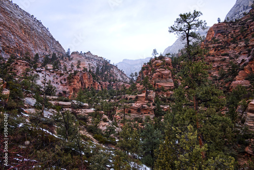 View at National Park Zion