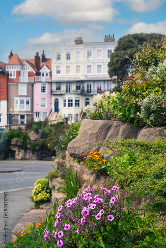 Fototapeta Naklejka Na Ścianę i Meble -  Pretty pink flowers in the rocks of the Madeira Walk gardens on the East Cliff of Ramsgate, Kent UK.