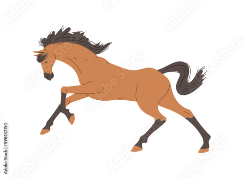 Beautiful stallion running, wild horse - flat vector illustration isolated on white background.
