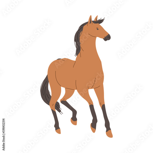 Brown horse animal full length  flat vector illustration isolated on white.