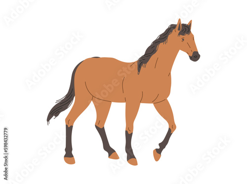 Thoroughbred racing horse standing profile  flat vector illustration isolated.