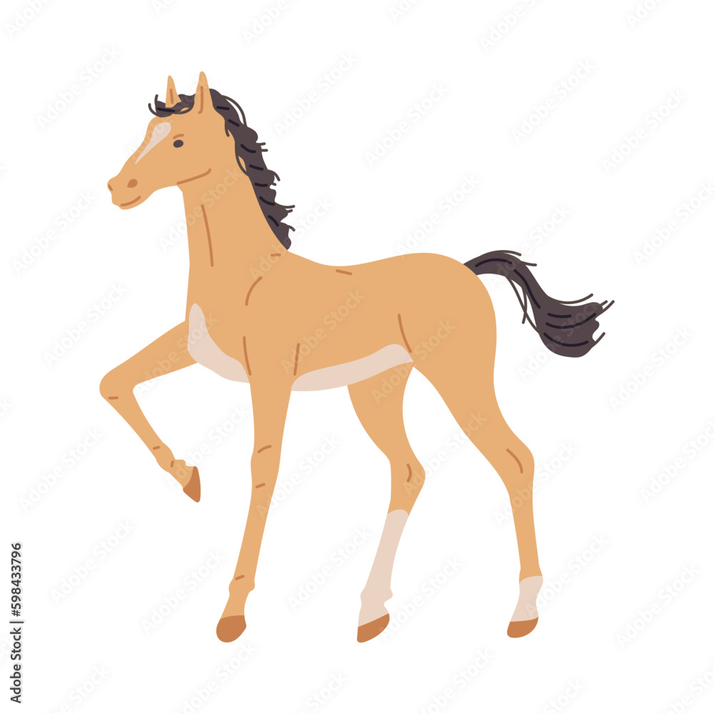 Cute baby horse or foal, flat vector illustration isolated on white background. Cute baby horse or foal, flat vector illustration isolated on white background.