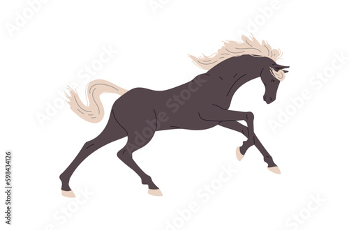 Running black horse flat style  vector illustration