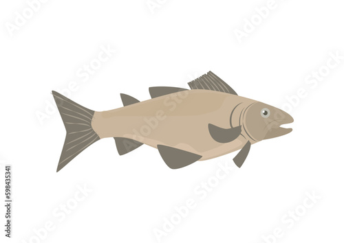 Cod or Codfish cartoon symbol flat vector illustration isolated on white.