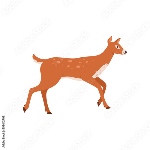 Young deer forest animal flat vector illustration isolated on white background.