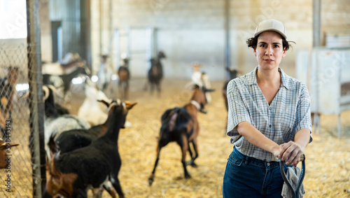Obraz na płótnie Successful Hispanic woman farmer, breeder of small cattle, posing in barn agains