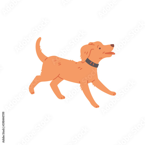 Cute dog running or get zoomies, cartoon flat vector illustration isolated on white background.