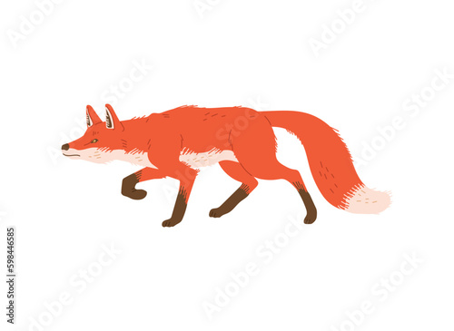 Hunting red fox animal flat style, vector illustration