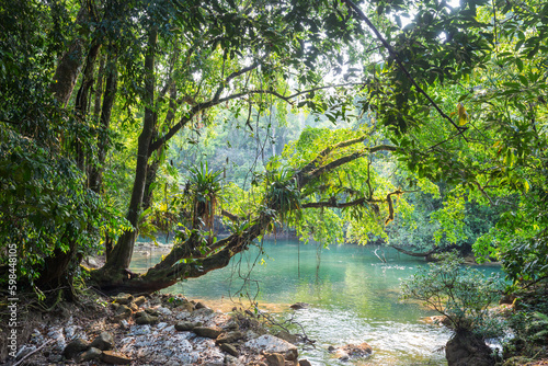 River in jungle © Galyna Andrushko