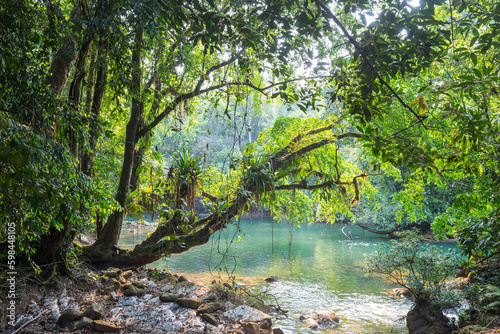 River in jungle