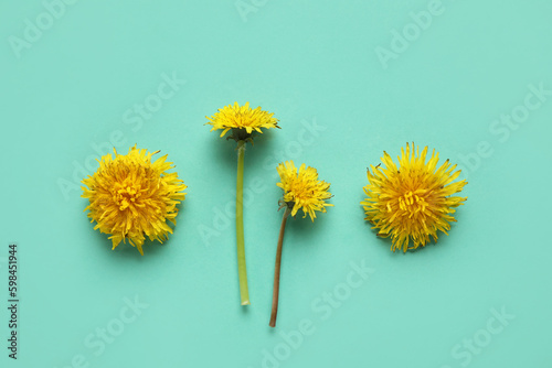 Bright yellow dandelions on turquoise background