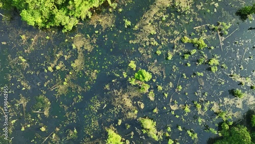 Aerial view video top down Drone fly over swamp or lake in beautiful sunrise or sunset sky, Amazing nature view in the morning at Klong root lake Krabi Thailand photo