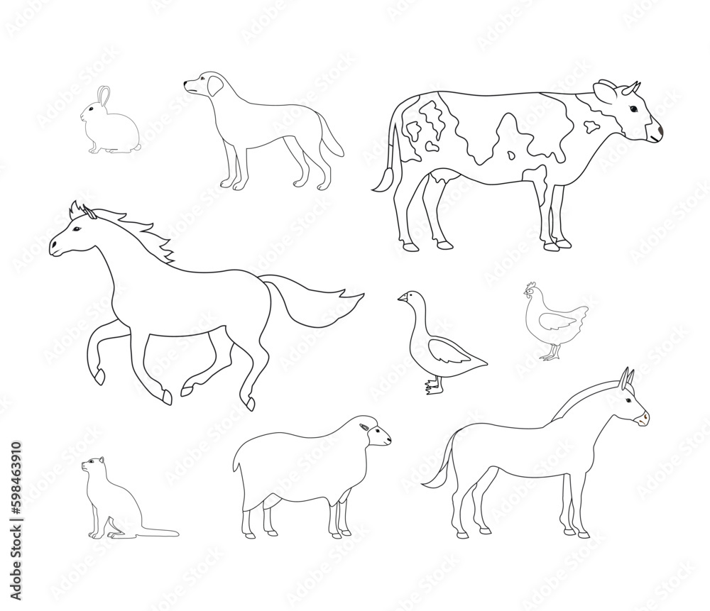 Vector set of flat hand drawn outline domestic animals isolated on white background Vector set of flat hand drawn outline domestic animals isolated on white background