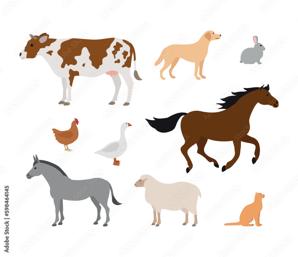 Vector set of flat hand drawn domestic animals isolated on white background