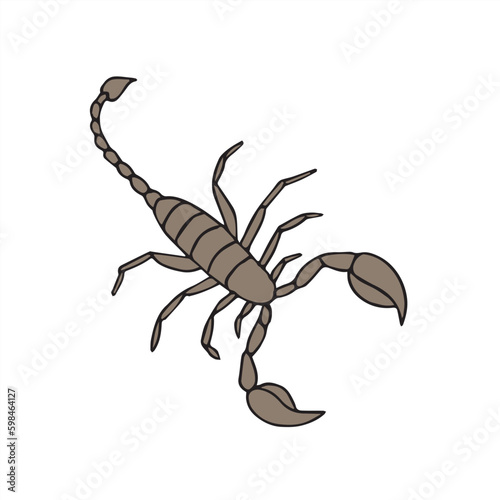 Vector hand drawn doodle sketch colored scorpio isolated on white background © Sweta
