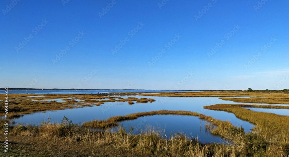 Beautiful marshlands next the ocean full of life - Assateague, MD, USA