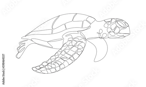 continuous line drawing sea turtle, The long lines are sea turtle shapes.