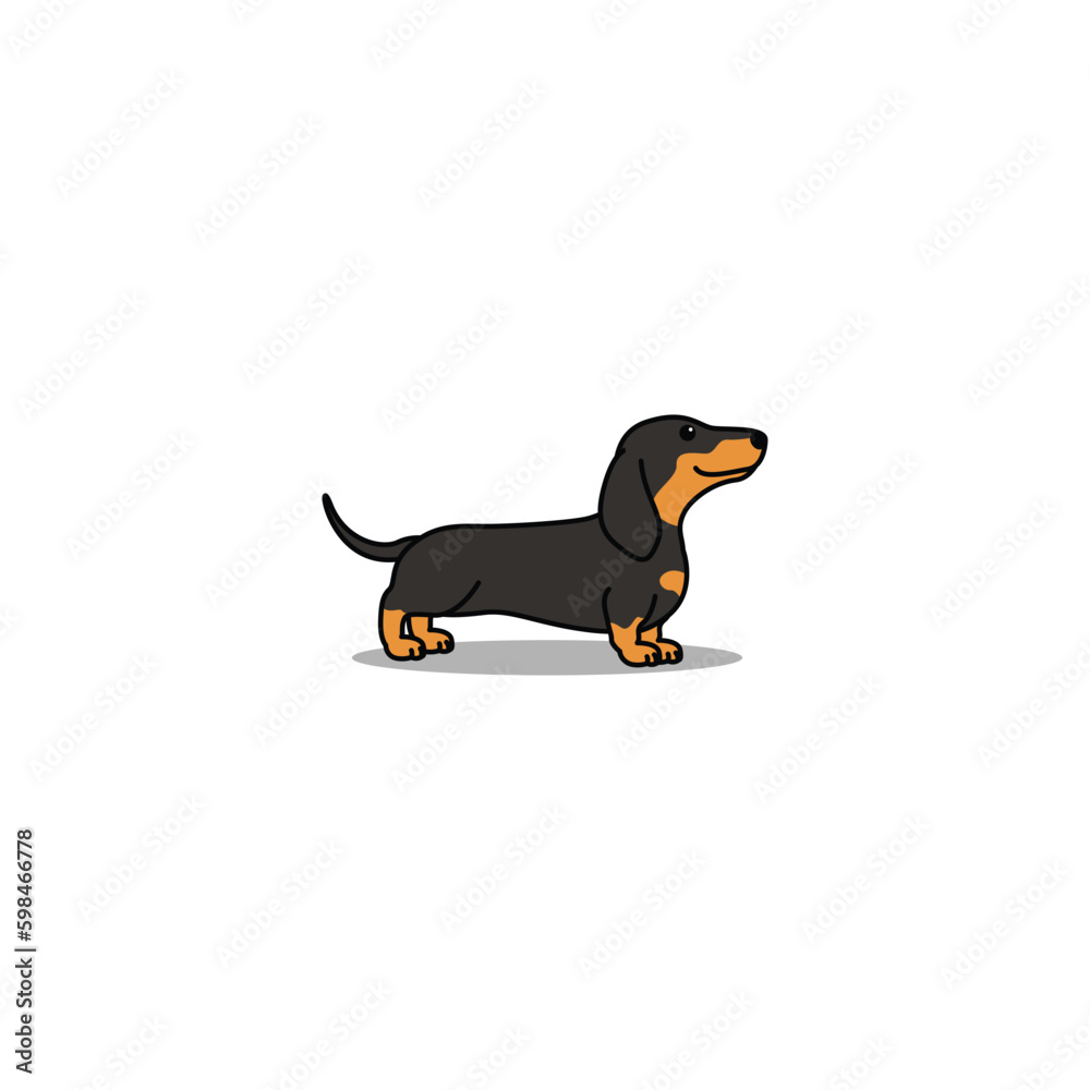 Cute dachshund dog cartoon, vector illustration
