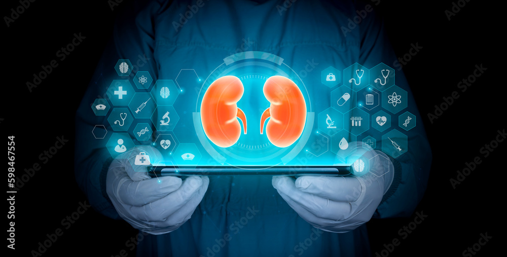 Nephrology, medical care for kidney problems. Kidneys, kidney pain
